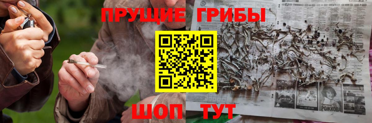 Мончегорск  Псилоцибиновые грибы Cubensis  Псилоцибиновые грибы ЛСД  Вход с VPN 